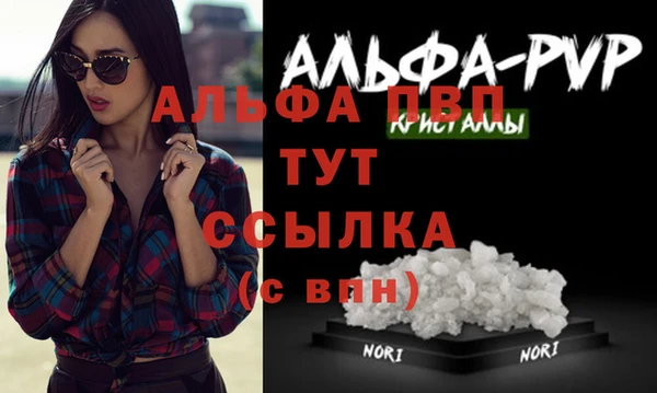 прущие грибы Нягань