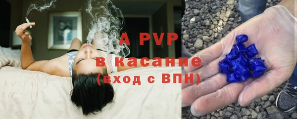 прущие грибы Нягань