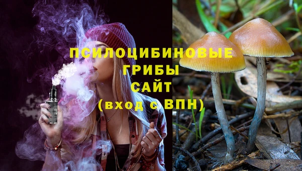 МДПВ Няндома