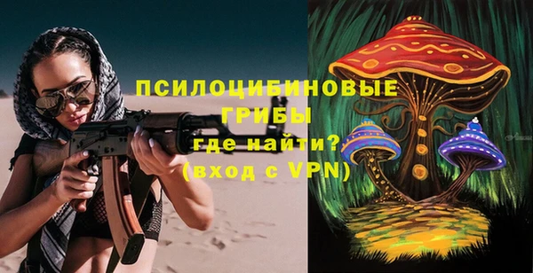 МДПВ Няндома