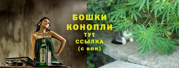 МДПВ Няндома