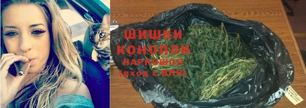 прущие грибы Нягань