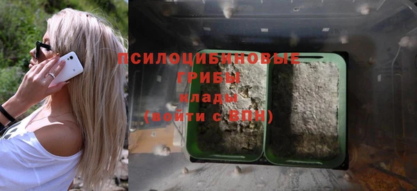 альфа пвп Нязепетровск