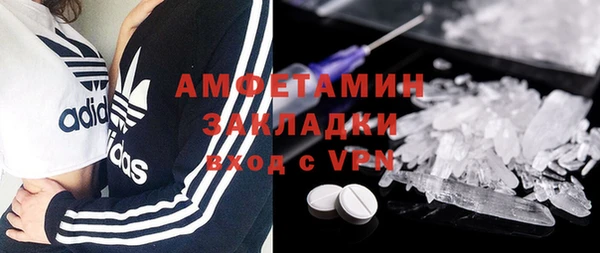 прущие грибы Нягань