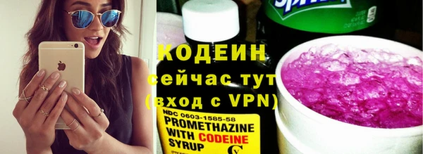 прущие грибы Нягань